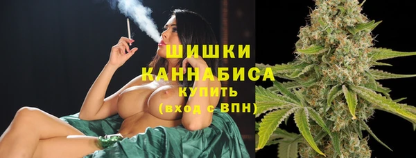 стаф Бронницы