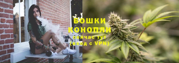 дурь Бородино