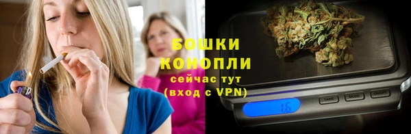 стаф Бронницы