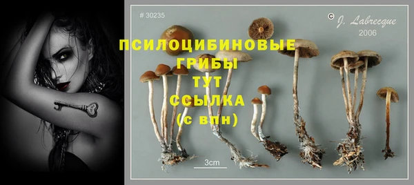 винт Бугульма