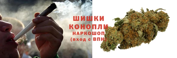 дурь Бородино