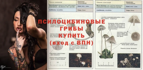 дурь Бородино