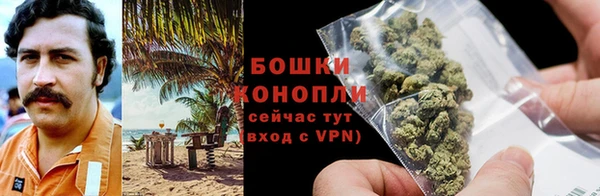стаф Бронницы