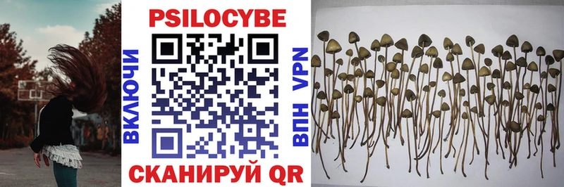 Псилоцибиновые грибы Psilocybine cubensis  Вилючинск 